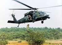 Pavehawk